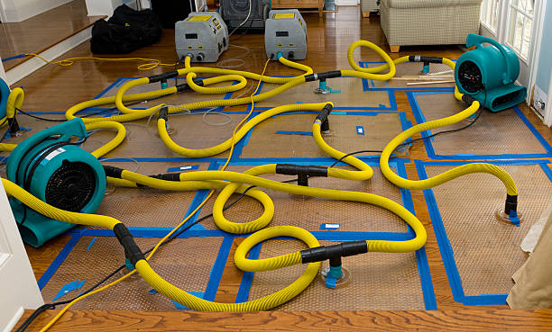 Professional Crawl Space Water Removal technician working in Weston, MO